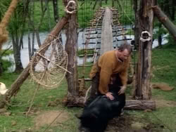 extant_HerculesAndTheAmazonWomen_5113
