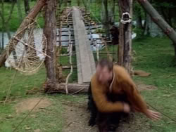 extant_HerculesAndTheAmazonWomen_5114