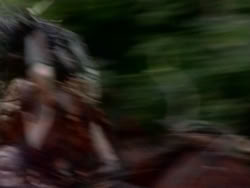 extant_HerculesAndTheAmazonWomen_5169