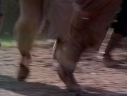 extant_HerculesAndTheAmazonWomen_5185