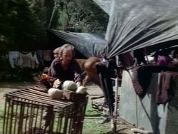 extant_HerculesAndTheAmazonWomen_5194
