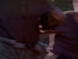 extant_HerculesAndTheAmazonWomen_5211