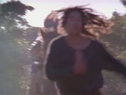 extant_HerculesAndTheAmazonWomen_5221