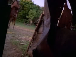 extant_HerculesAndTheAmazonWomen_5224