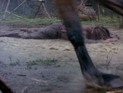 extant_HerculesAndTheAmazonWomen_5234