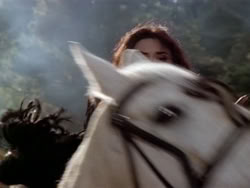 extant_HerculesAndTheAmazonWomen_5244
