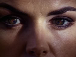 extant_HerculesAndTheAmazonWomen_5327