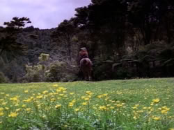 extant_HerculesAndTheAmazonWomen_5403