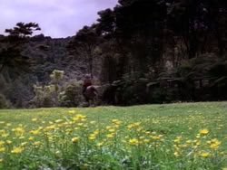 extant_HerculesAndTheAmazonWomen_5404