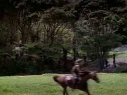 extant_HerculesAndTheAmazonWomen_5406