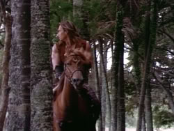 extant_HerculesAndTheAmazonWomen_5414