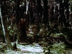 extant_HerculesAndTheAmazonWomen_5425