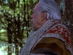 extant_HerculesAndTheAmazonWomen_5466