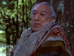 extant_HerculesAndTheAmazonWomen_5472