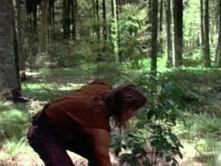extant_HerculesAndTheAmazonWomen_5486