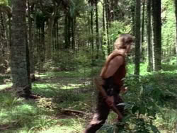extant_HerculesAndTheAmazonWomen_5491