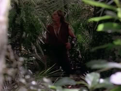 extant_HerculesAndTheAmazonWomen_5493