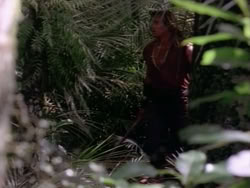 extant_HerculesAndTheAmazonWomen_5494