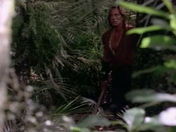 extant_HerculesAndTheAmazonWomen_5495