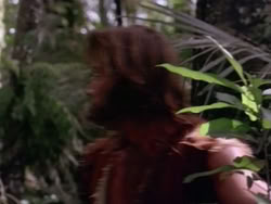 extant_HerculesAndTheAmazonWomen_5503