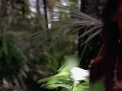 extant_HerculesAndTheAmazonWomen_5504
