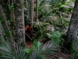 extant_HerculesAndTheAmazonWomen_5505