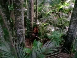 extant_HerculesAndTheAmazonWomen_5506