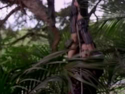 extant_HerculesAndTheAmazonWomen_5508