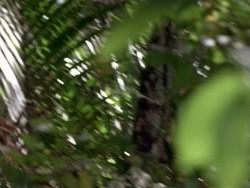 extant_HerculesAndTheAmazonWomen_5511