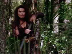 extant_HerculesAndTheAmazonWomen_5514