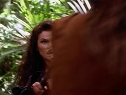 extant_HerculesAndTheAmazonWomen_5543