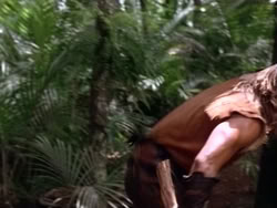 extant_HerculesAndTheAmazonWomen_5556