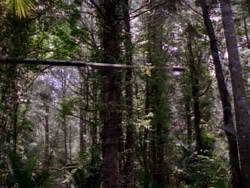 extant_HerculesAndTheAmazonWomen_5588