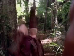 extant_HerculesAndTheAmazonWomen_5591