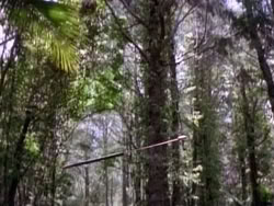 extant_HerculesAndTheAmazonWomen_5593