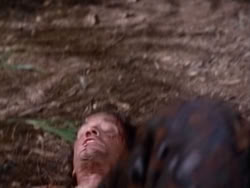 extant_HerculesAndTheAmazonWomen_5616
