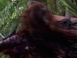 extant_HerculesAndTheAmazonWomen_5638