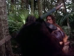 extant_HerculesAndTheAmazonWomen_5655