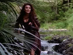 extant_HerculesAndTheAmazonWomen_5712