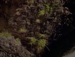 extant_HerculesAndTheAmazonWomen_5724