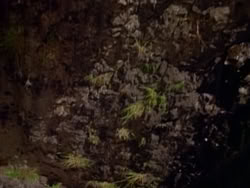 extant_HerculesAndTheAmazonWomen_5725