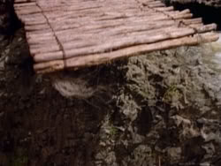 extant_HerculesAndTheAmazonWomen_5727