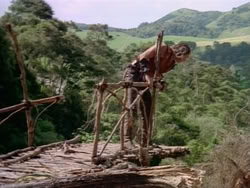 extant_HerculesAndTheAmazonWomen_5787
