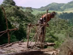 extant_HerculesAndTheAmazonWomen_5788