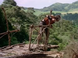 extant_HerculesAndTheAmazonWomen_5789