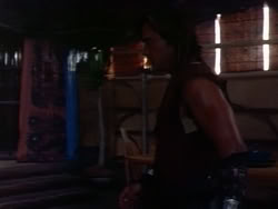 extant_HerculesAndTheAmazonWomen_5917