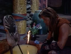extant_HerculesAndTheAmazonWomen_5922
