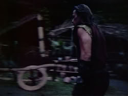 extant_HerculesAndTheAmazonWomen_6051