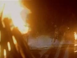 extant_HerculesAndTheAmazonWomen_6082