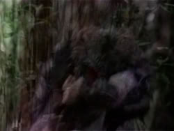extant_HerculesAndTheAmazonWomen_6087